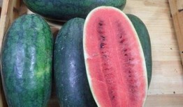 黑科吃瓜爆料最新进展视频,最新进展视频深度解析