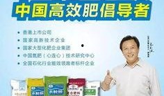 河南电视台最新爆料,揭秘某事件背后惊人真相