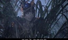 终结杉计划20最新爆料,揭秘最新爆料背后的惊人真相