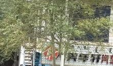 陈村荔园新闻最新爆料,揭秘荔园神秘事件真相揭晓