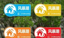 小灵夫妇爆料最新消息视频,揭秘幕后真相