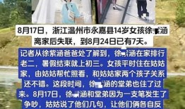 浙江最新爆料事件,揭秘XX事件背后真相