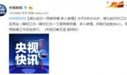 武汉新闻最新爆料,揭秘城市热点事件背后的真相