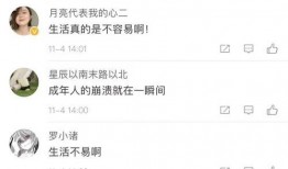 抱抱爆料最新,揭秘娱乐圈最新热点事件