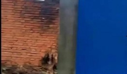 江西失踪最新爆料视频,神秘视频揭示惊人真相