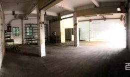 马宫批发市场最新爆料,揭秘热门商品与价格动态