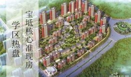 天宝豪园房价最新爆料,高端住宅市场行情一览