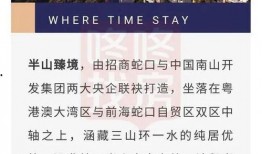 深圳南山武先生最新爆料,揭秘事件背后惊人真相