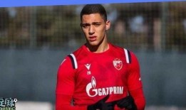 塞尔维亚最新爆料消息,揭秘重大国际事件背后真相！”