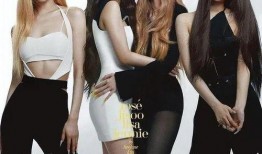 hs女团最新爆料,揭秘团队背后的故事与成长历程