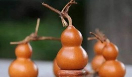 葫芦最新爆料是真的吗