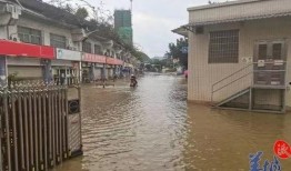 英德洪水爆料视频最新,最新爆料视频揭示惊人现场！