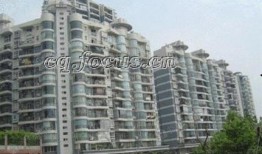 重庆花园爆料视频最新版,惊人内幕大曝光