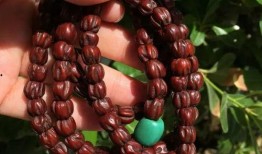 百香籽厂家爆料最新消息,厂家独家爆料最新市场趋势